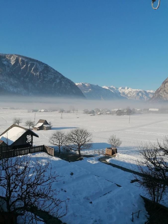 Apartment Cvetek Janez Bohinj Zewnętrze zdjęcie
